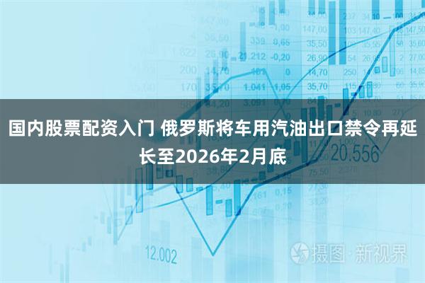 国内股票配资入门 俄罗斯将车用汽油出口禁令再延长至2026年2月底